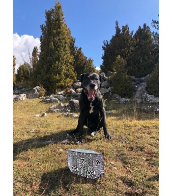 LLUKU DRINKER FOR DOGS AND CATS BLACK DOG 