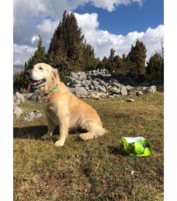 LLUKU DRINKER FOUR CHIENS ET CHATS TENNIS DOG 